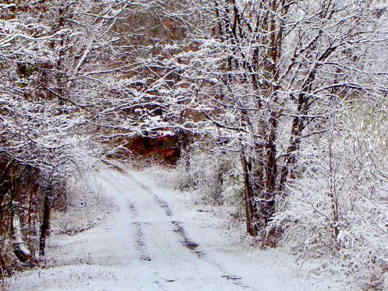 Lofty's Snow Covered Lane